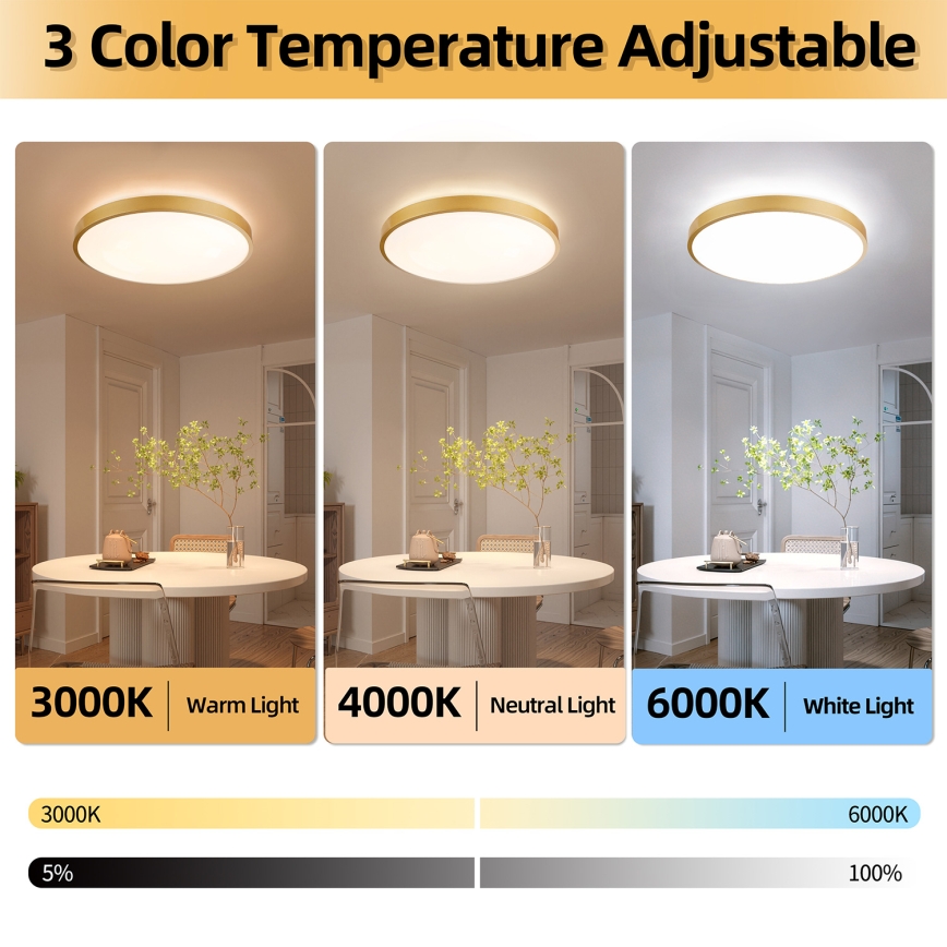 Brilagi - Luminaria de techo LED regulable GLASS POOL DOUBLE LED/80W/230V 3000-6000K 60 cm dorada + mando a distancia