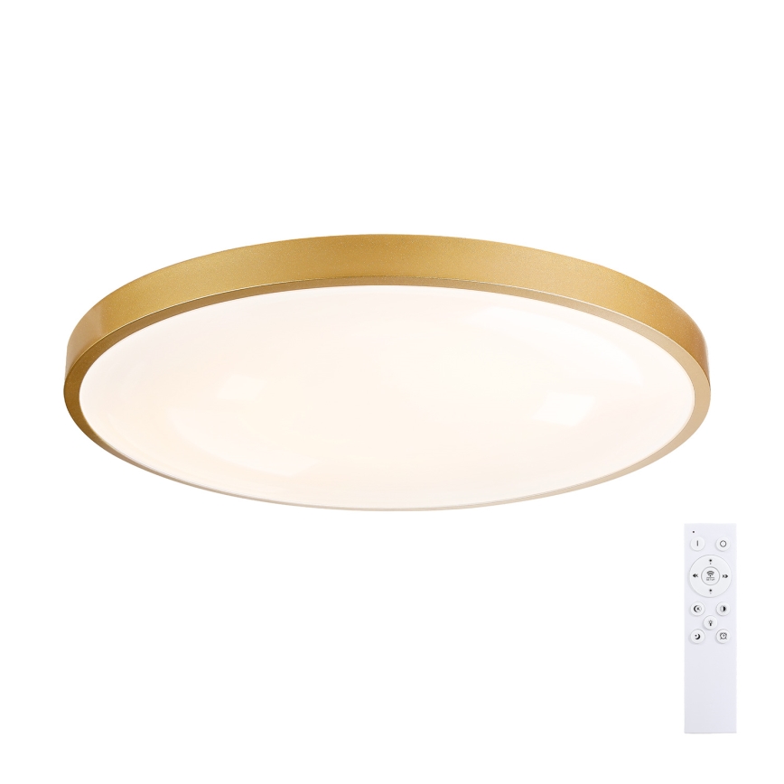 Brilagi - Luminaria de techo LED regulable GLASS POOL DOUBLE LED/80W/230V 3000-6000K 60 cm dorada + mando a distancia