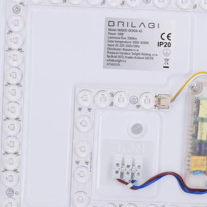 Brilagi - Luminaria de techo LED regulable NAOMI LED/48W/230V 3000-6500K Ø39 cm negra + control remoto