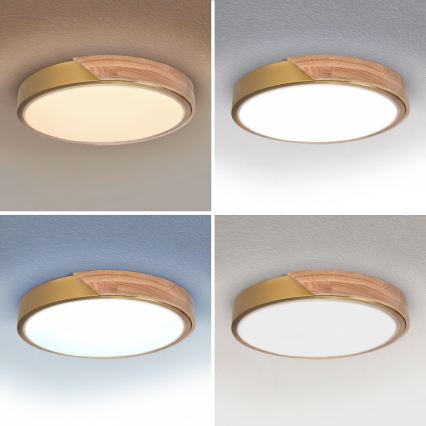 BRILAGI - Luminaria de techo LED regulable PILANA LED/48W/230V 3000-6500K roble/dorado Ø 40 cm + mando a distancia