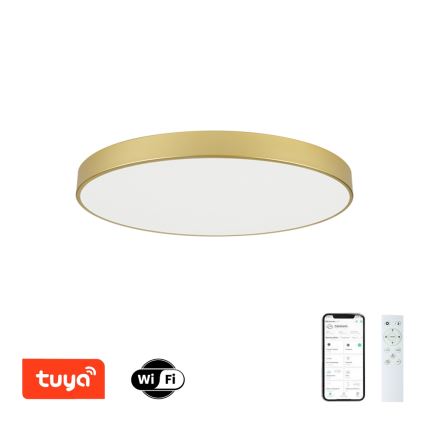 Brilagi - Luminaria de techo LED regulable POOL SMART LED/100W/230V 3000-6000K 80 cm dorada Wi-Fi Tuya + mando a distancia