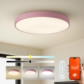 Brilagi - Luminaria LED regulable POOL SMART LED/100W/230V, diámetro 80 cm, Wi-Fi Tuya + mando a distancia, rosa