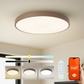 Brilagi - Luminaria LED regulable POOL SMART LED/100W/230V Ø 80 cm 3000-6000K Wi-Fi Tuya + mando a distancia marrón