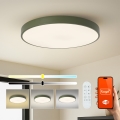Brilagi - Luminaria LED regulable POOL SMART LED/100W/230V Ø 80 cm 3000-6000K Wi-Fi Tuya + mando a distancia, verde