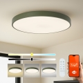Brilagi - Luminaria LED regulable POOL SMART LED/128W/230V Ø 100 cm 3000-6000K Wi-Fi Tuya + mando a distancia verde