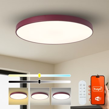 Brilagi - Luminaria LED regulable POOL SMART LED/128W/230V Ø 100 cm Wi-Fi Tuya + mando a distancia burdeos