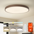 Brilagi - Luminaria LED regulable POOL SMART LED/128W/230V, Ø 100 cm, Wi-Fi Tuya + mando a distancia, marrón