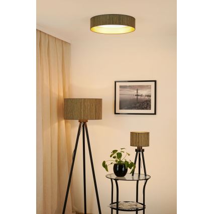Brilagi - Lámpara de techo LED regulable VEGAS SHINE LED/24W/230V Ø 45 cm 3000/4000/6500K paja marrón/dorado + mando a distancia