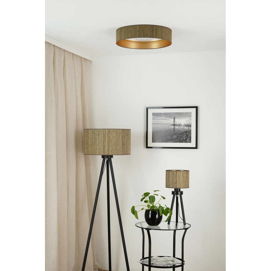 Brilagi - Lámpara de techo LED regulable VEGAS SHINE LED/24W/230V Ø 45 cm 3000/4000/6500K paja marrón/dorado + mando a distancia