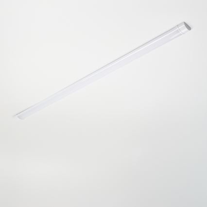 BRILAGI - Luminaria LED tipo fluorescente LUMA LED/40W/230V 150 cm