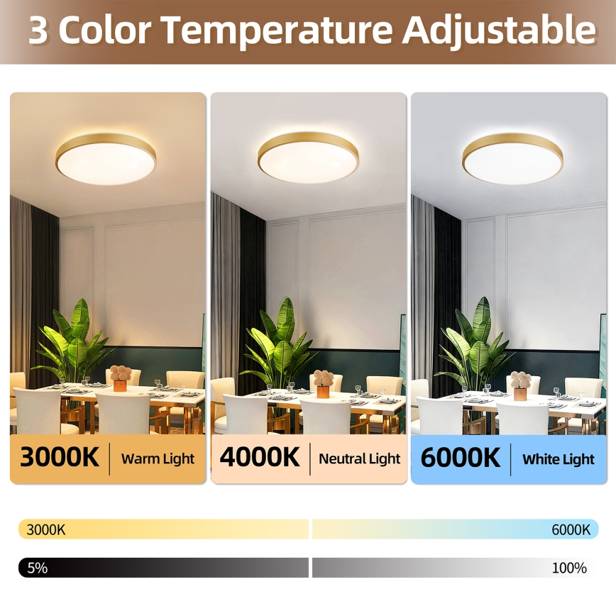 Brilagi - Luminaria de techo LED regulable GLASS POOL DOUBLE LED/60W/230V 3000-6000K 50 cm dorado + mando a distancia