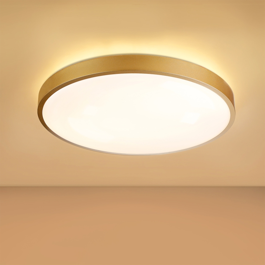 Brilagi - Luminaria de techo LED regulable GLASS POOL DOUBLE LED/60W/230V 3000-6000K 50 cm dorado + mando a distancia