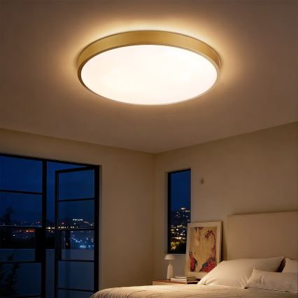 Brilagi - Luminaria de techo LED regulable GLASS POOL DOUBLE LED/60W/230V 3000-6000K 50 cm dorado + mando a distancia