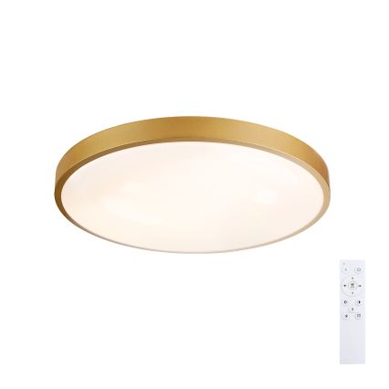 Brilagi - Luminaria de techo LED regulable GLASS POOL DOUBLE LED/60W/230V 3000-6000K 50 cm dorado + mando a distancia