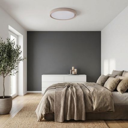 Brilagi - Lámpara de techo LED regulable MATTEO LED/60W/230V 3000-6500K Ø 51,5 cm taupe + mando a distancia