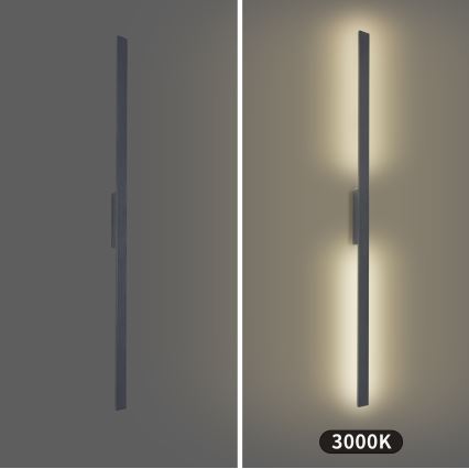 Brilagi - Aplique LED de pared exterior LUNA LED/30W/230V 3000K IP65 150 cm antracita CRI 90