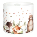 BRILAGI - Pantalla universal BOBO E27 diámetro 15 cm blanca/motivos de animales