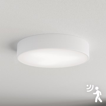 Brilagi - Plafón con sensor CLARE 3xE27/40W/230V diá. 40 cm blanco