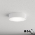 Brilagi - Plafón de baño CLARE 2xE27/24W/230V diá. 30 cm blanco IP54