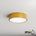 Brilagi - Plafón de baño CLARE 2xE27/24W/230V diá. 30 cm IP54 dorado