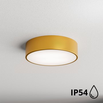 Brilagi - Plafón de baño CLARE 2xE27/24W/230V diá. 30 cm IP54 dorado