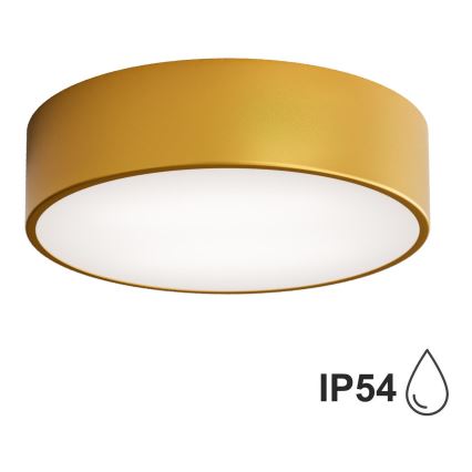 BRILAGI - Plafón de baño CLARE 2xE27/24W/230V diá. 30 cm IP54 dorado
