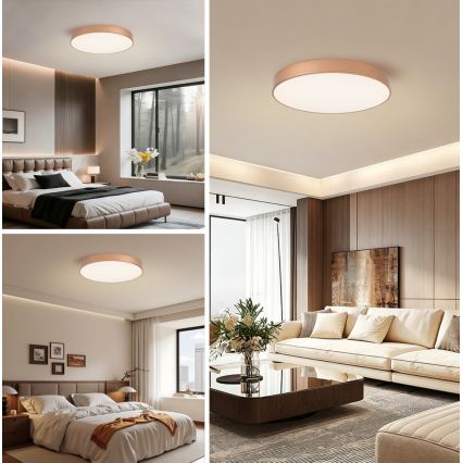 BRILAGI - Plafón LED de techo POOL LED/60W/230V 3000/4000/6000K Ø 60 cm acabado bronce