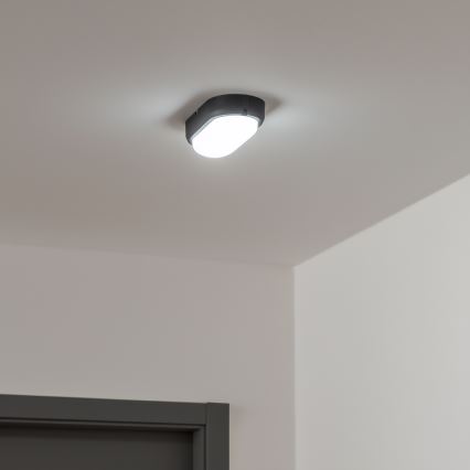 Brilagi - Plafón industrial LED SIMA LED/12W/230V IP65 negro