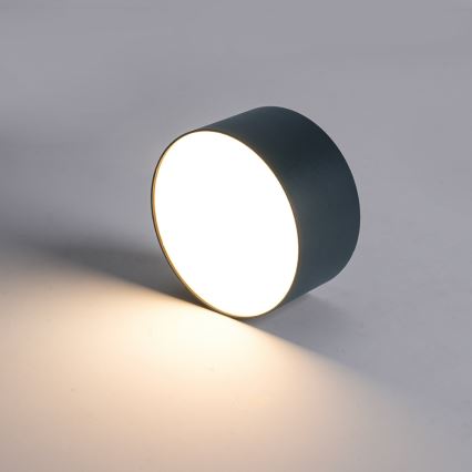 Brilagi - Plafón LED para baño FORIS LED/14W/230V, diámetro 12 cm, antracita, IP44