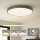 Brilagi - Plafón LED de techo POOL, 100 W, 230 V, 3000/4000/6000 K, Ø 80 cm, verde