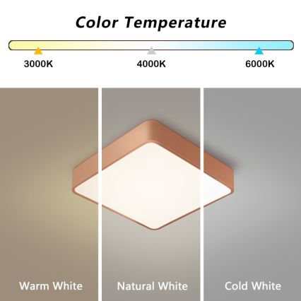 BRILAGI - Plafón LED POOL SQUARE LED/36W/230V 3000/4000/6000K 40x40 cm acabado en bronce