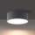 Brilagi - Plafón LED para baño FORIS LED/14W/230V, diámetro 12 cm, antracita, IP44