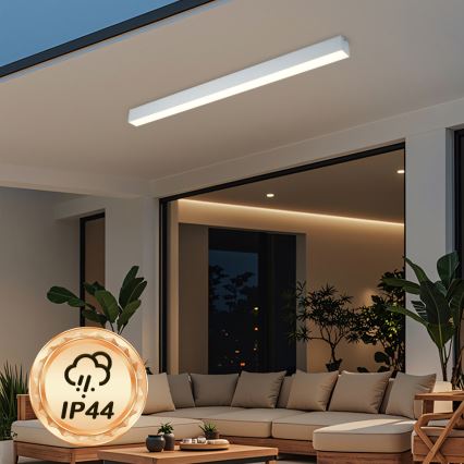 Brilagi - Plafón LED de techo para baño SLEEKLINE LED/40W/230V 3000/4500/6000K plateado IP44