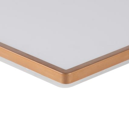 Brilagi - Plafón de techo para baño ULTRA SLIM LED/24W/230V 42x42 cm oro rosa IP54