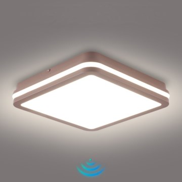 Brilagi - Plafón LED para exterior con sensor BENE LED/24W/230V 26x26 cm marrón IP54
