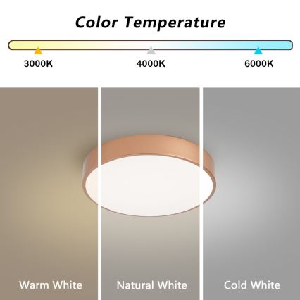 BRILAGI - Plafón LED de techo POOL LED/36W/230V 3000/4000/6000K Ø 30 cm bronce