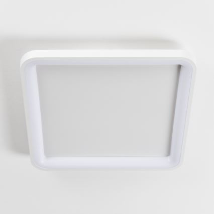 Brilagi - Luminaria de techo LED regulable FALCON SLIM LED/50W/230V 3000-6500K 50x50 cm blanca + mando a distancia