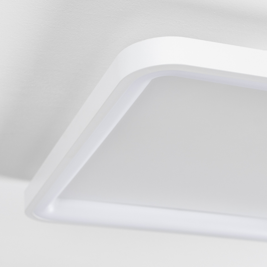 Brilagi - Luminaria de techo LED regulable FALCON SLIM LED/50W/230V 3000-6500K 50x50 cm blanca + mando a distancia