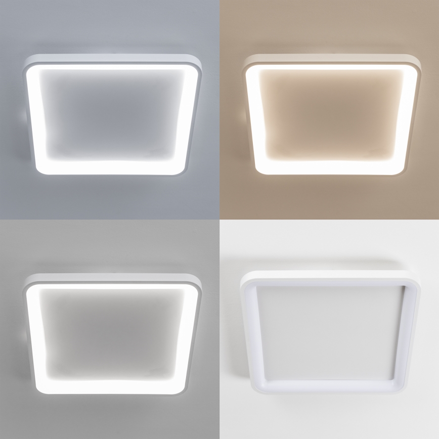 Brilagi - Luminaria de techo LED regulable FALCON SLIM LED/50W/230V 3000-6500K 50x50 cm blanca + mando a distancia