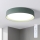 Brilagi - Plafón LED regulable LUCIA LED/48W/230V 3000-6500K Ø 41 cm verde + mando a distancia