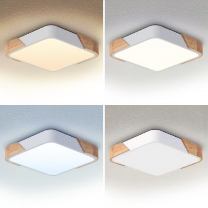 BRILAGI - Luminaria de techo LED regulable PILANA LED/48W/230V 3000-6500K roble/blanco 42x42 cm + mando a distancia