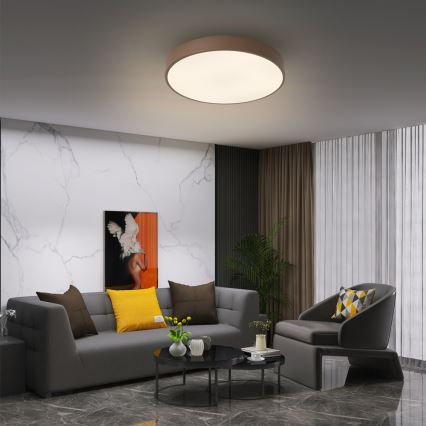 BRILAGI - Lámpara de techo LED regulable POOL LED/48W/230V 3000-6000K Ø 40 cm marrón + control remoto