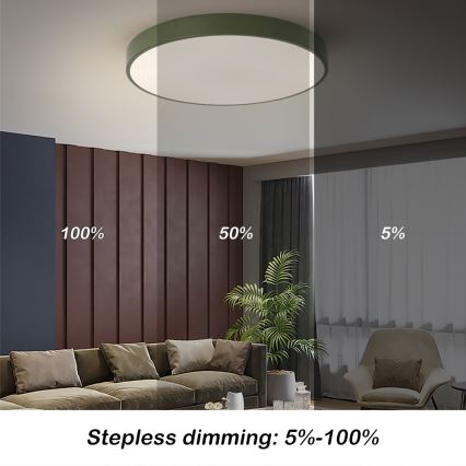 BRILAGI - Luminaria de techo LED regulable POOL LED/60W/230V 3000-6000K diámetro 60 cm verde + mando a distancia