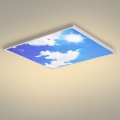 Brilagi - Plafón LED SLIMFRAME LED/58W/230V 60x60 cm plateado/azul