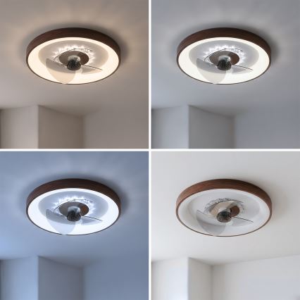 BRILAGI - Ventilador de techo LED regulable LED/34W/230V 3000-6500K diámetro 46 cm marrón + mando a distancia