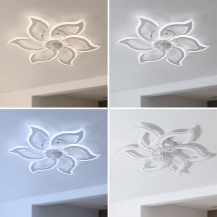 Brilagi - Ventilador de techo LED regulable LED/34W/230V 3000-6500K ø 83 cm blanco + mando a distancia