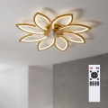 Brilagi - Ventilador de techo LED regulable, 43 W, 230 V, 3000–6500 K, diámetro 90 cm, color dorado + mando a distancia