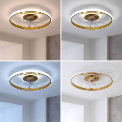 BRILAGI - Ventilador de techo LED regulable LED/66W/230V 3000-6500K Ø 55 cm blanco/dorado + mando a distancia