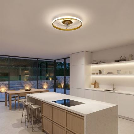 BRILAGI - Ventilador de techo LED regulable LED/66W/230V 3000-6500K Ø 55 cm blanco/dorado + mando a distancia
