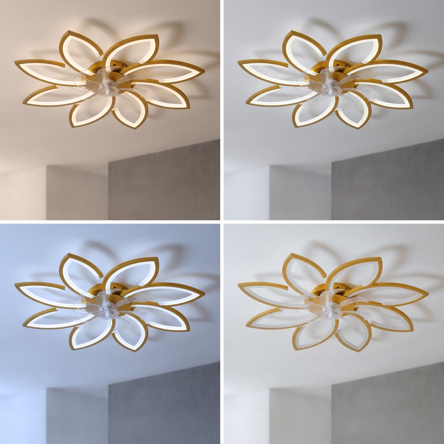Brilagi - Ventilador de techo LED regulable, 43 W, 230 V, 3000–6500 K, diámetro 90 cm, color dorado + mando a distancia